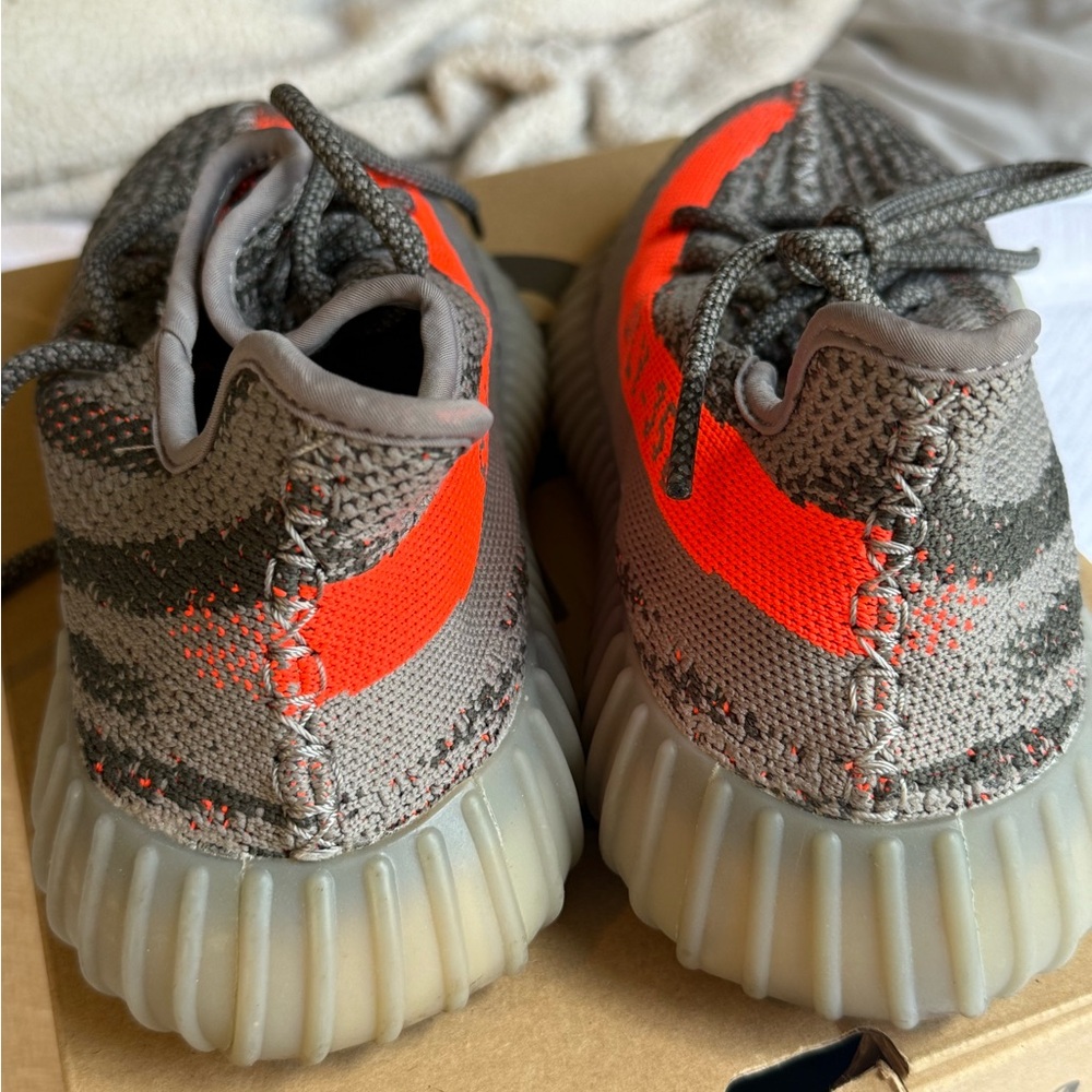 Yeezy Boost 350 V2 (RARE!) - Picture 9 of 12